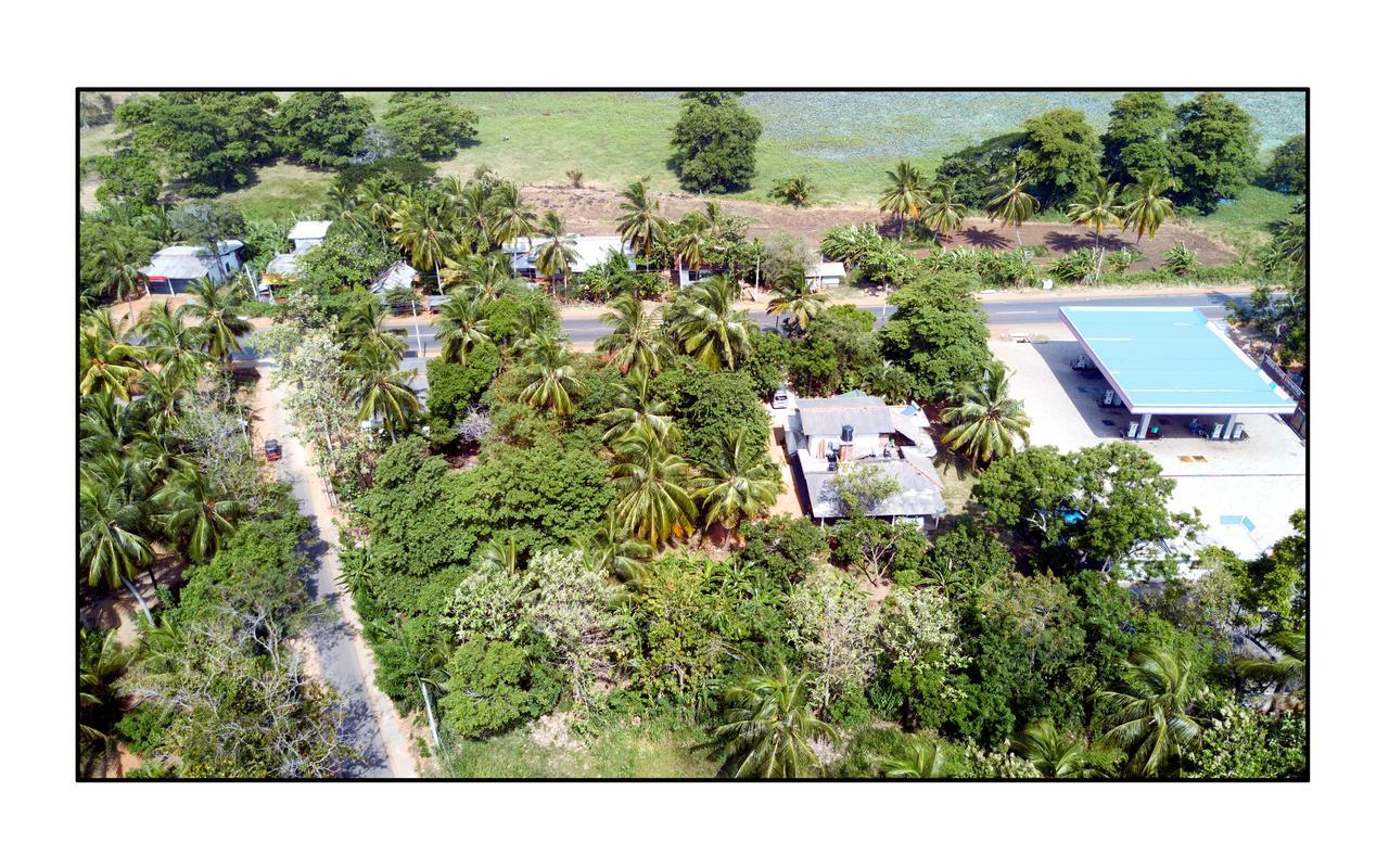 Sun And Green Eco Lodge - Dambulla Exterior photo